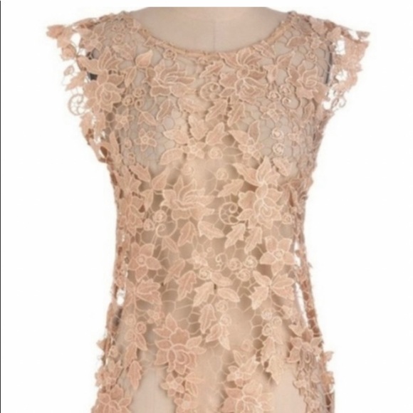 Miss Finch lace topper blouse - Picture 2 of 4